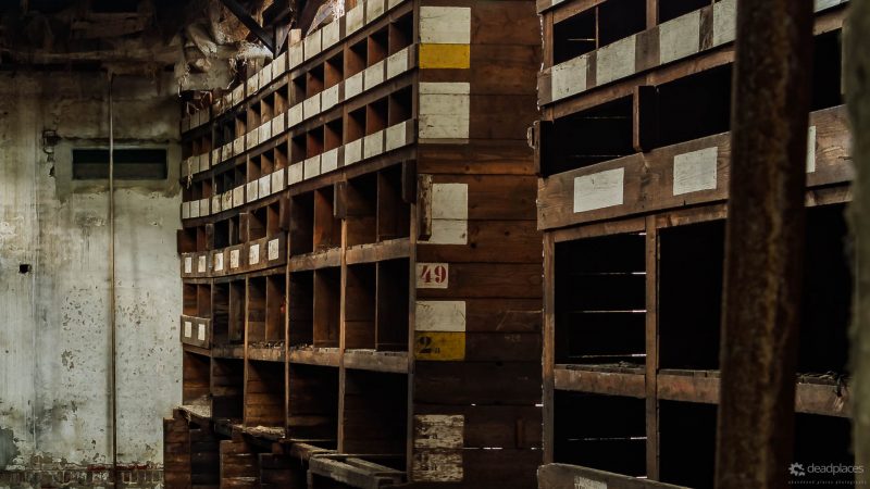 Antwort auf alle Fragen